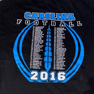 Camiseta NFL Carolina 2016 Campeones NFC L