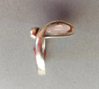 Sortija Plata.