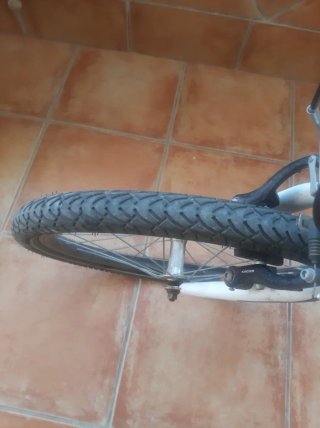 Bicicleta pieghevole Flex