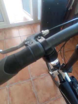 Bicicleta pieghevole Flex