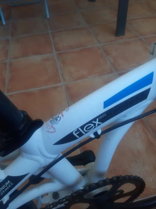 Bicicleta pieghevole Flex