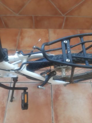 Bicicleta pieghevole Flex