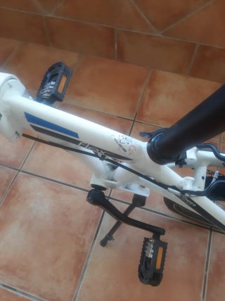 Bicicleta pieghevole Flex