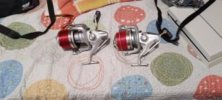 Cañas Awa Shima Miura y Shimanos