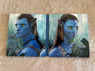 Avatar Edición Coleccionista 4K Blu-ray