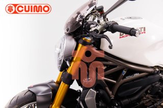 DUCATI MONSTER 1200 S