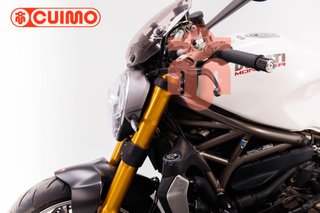 DUCATI MONSTER 1200 S