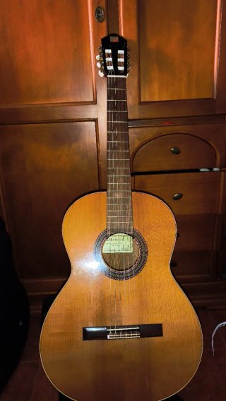 Guitarra Española Clásica Alhambra 1c
