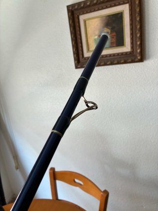 Caña de pescar Sky Caster 30 4,25