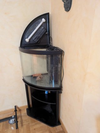 Acuario 90L Curvo Negro
