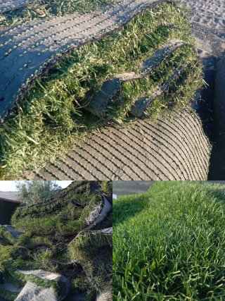 Césped reciclado