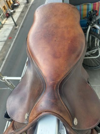 Montura de cuero marrón de hipica