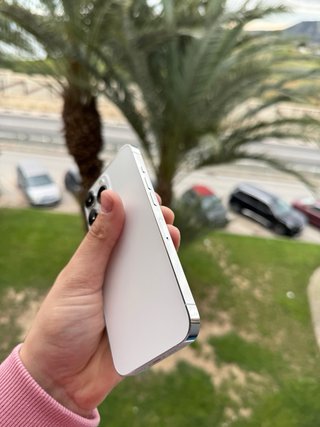 iPhone 13 Pro - 100% Batería