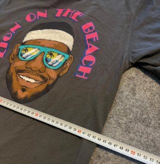 Camiseta Nike LeBron Lion on the Beach