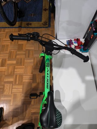 Bicicleta infantil verde