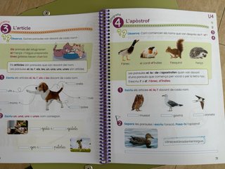 Libro Primaria VALENCIANO Entre Llengües 2