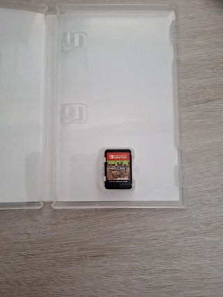 Minecraft Nintendo Switch