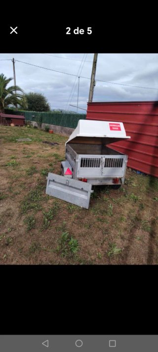 Remolque perros
