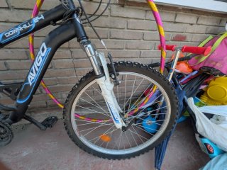 Bicicleta infantil Avigo Downhill 24