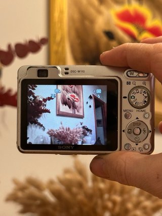 Digicam Sony Cyber-shot DSC-W110 · 7 MP · compacta