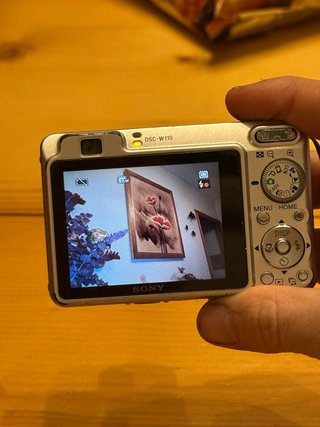 Digicam Sony Cyber-shot DSC-W110 · 7 MP · compacta