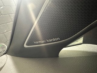 Volkswagen Golf R 8 Akrapovic