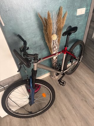 Bicicleta de montaña
