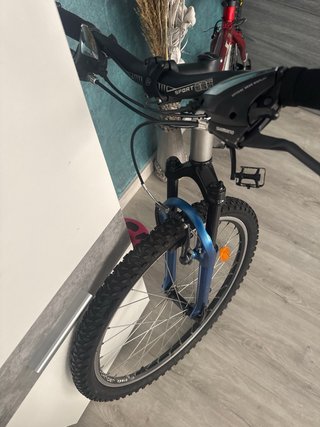 Bicicleta de montaña
