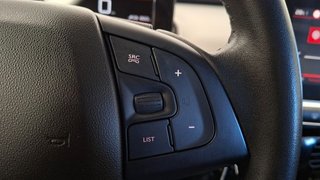 Citroën C4 Cactus BlueHDi 73KW (100CV) Shine
