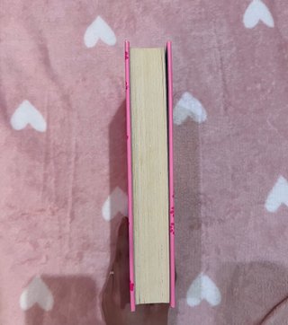 Libro Diario de nikki 10 una cuidadora de perros
