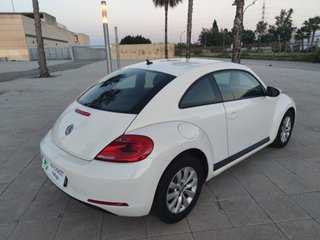 VOLKSWAGEN Beetle 1.6 TDI 105cv Design