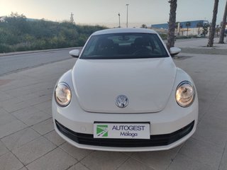 VOLKSWAGEN Beetle 1.6 TDI 105cv Design