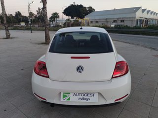 VOLKSWAGEN Beetle 1.6 TDI 105cv Design