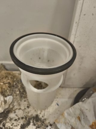 Tapa Filtro Bomba Piscina SACI WINNER