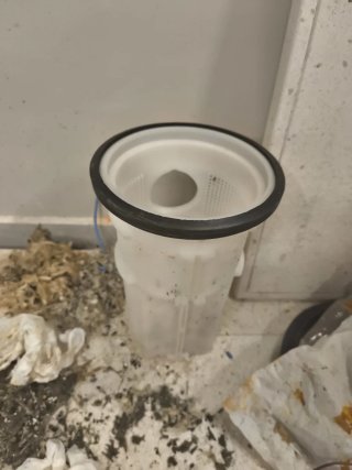 Tapa Filtro Bomba Piscina SACI WINNER