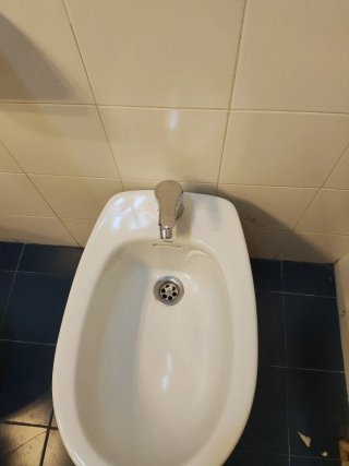 Grifo de ducha y bidé