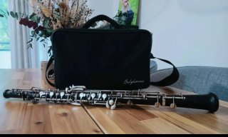 Clases de Armonía y Oboe