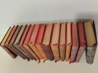 Collezione Libri Piccoli Aguilar