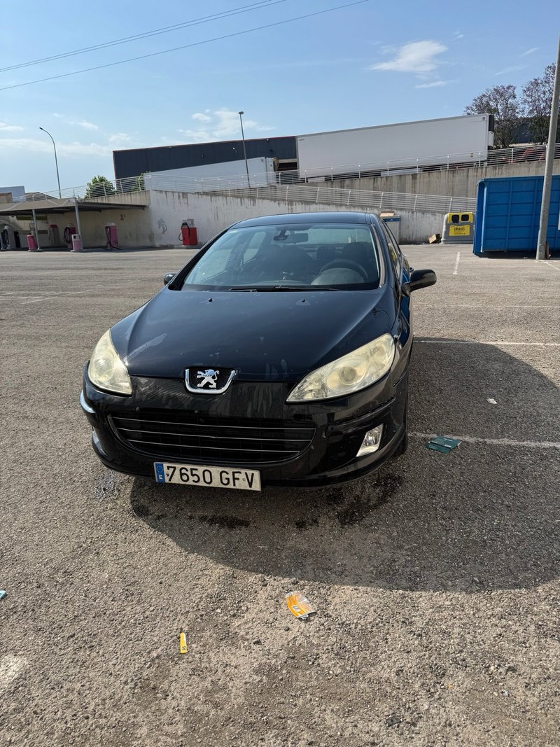Peugeot 407 2008 - foto 1