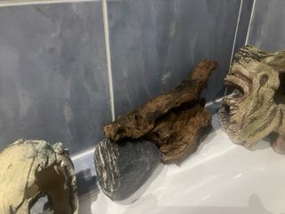 Adornos para acuario