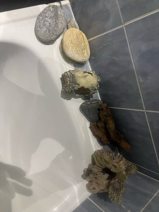 Adornos para acuario