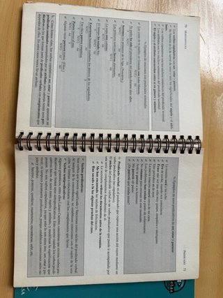 Lengua fácil para bachillerato