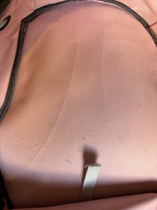 Mochila transportín para gatos transparente