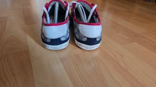 Zapatillas Gucci GG Logo Beige/Azul
