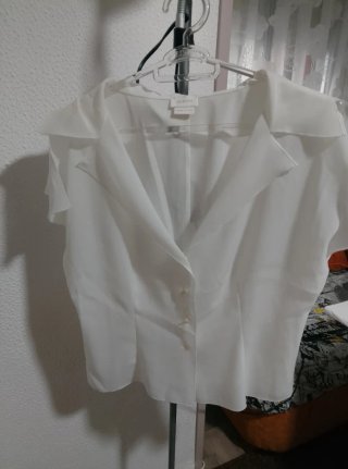 Blusa