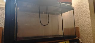 Pecera de cristal y plástico