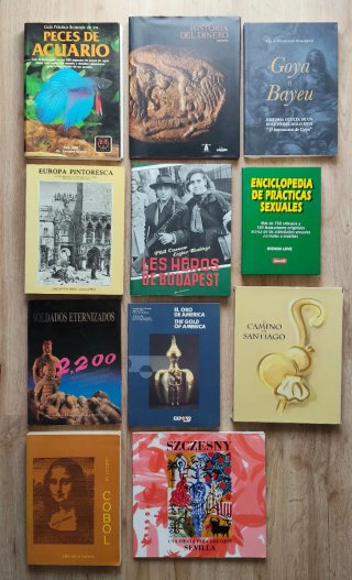 12 Libros: Historia, Arte, Cocina, Programaci