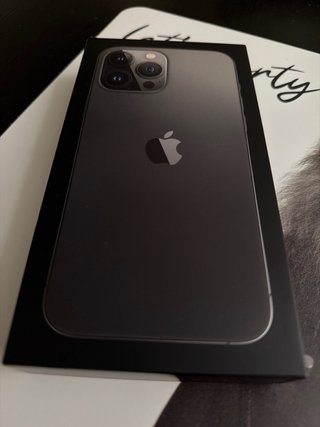 iPhone 13 Pro Max 256GB Grigio Siderale con scatola