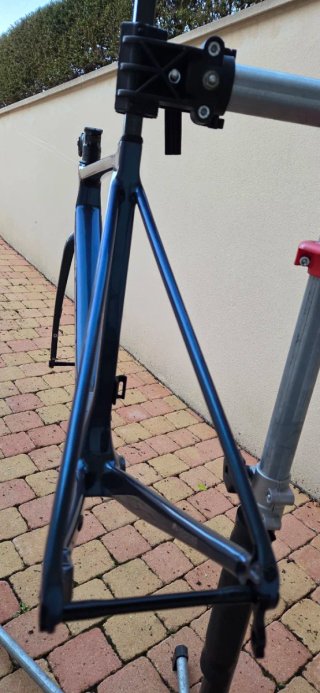 Cuadro GIANT TCR Pro 0 2024