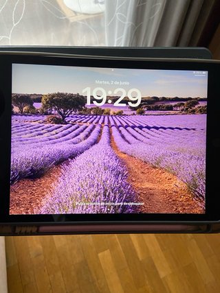 iPad 10.2 8ª Gen 32GB WiFi + 4G Gris Espacial